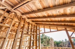 Bois de construction